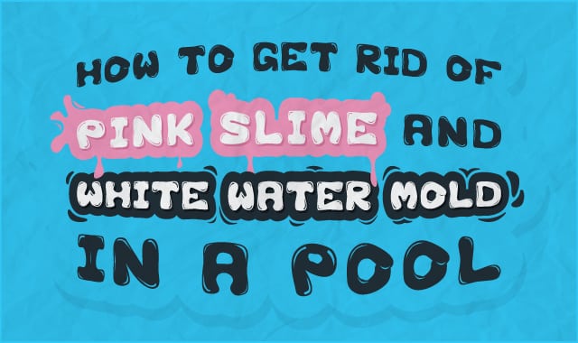www.swimuniversity.com