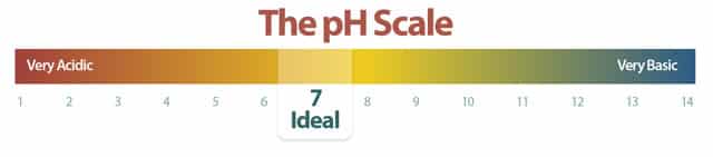 the-ph-scale the-ph-scale