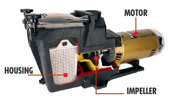 Inground Pool Pump Anatomy