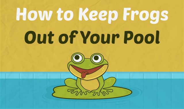 How To Get Rid Of Frogs