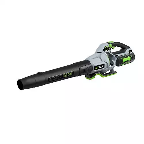 Cordless Leaf Blower