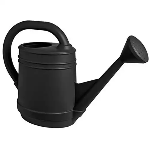 Bloem Lightweight Resin Watering Can - 2 gal.