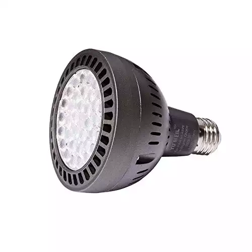 LED Pool Light Bulb - White - 120V 200 - 600 watt - 3900 lumens