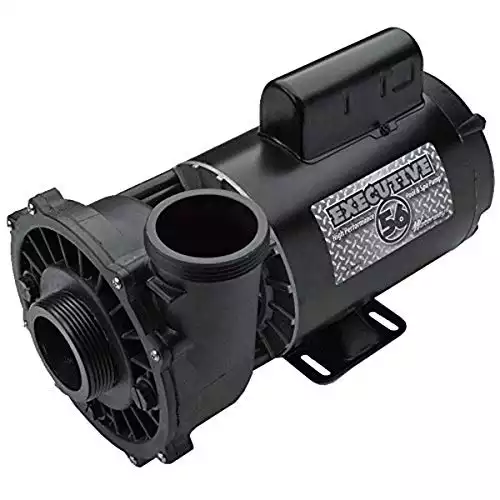 Waterway Plastics 3722021-1D Executive Spa Pump - 56 Frame - 5 HP - 230V