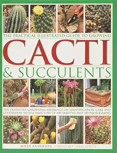 The Practical Illustrated Guide to Growing Cacti & Succulents