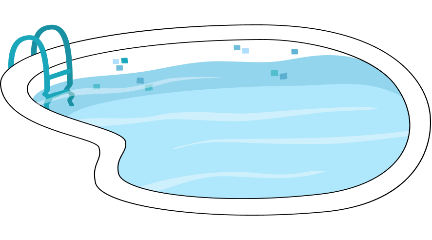 Pool Anatomy