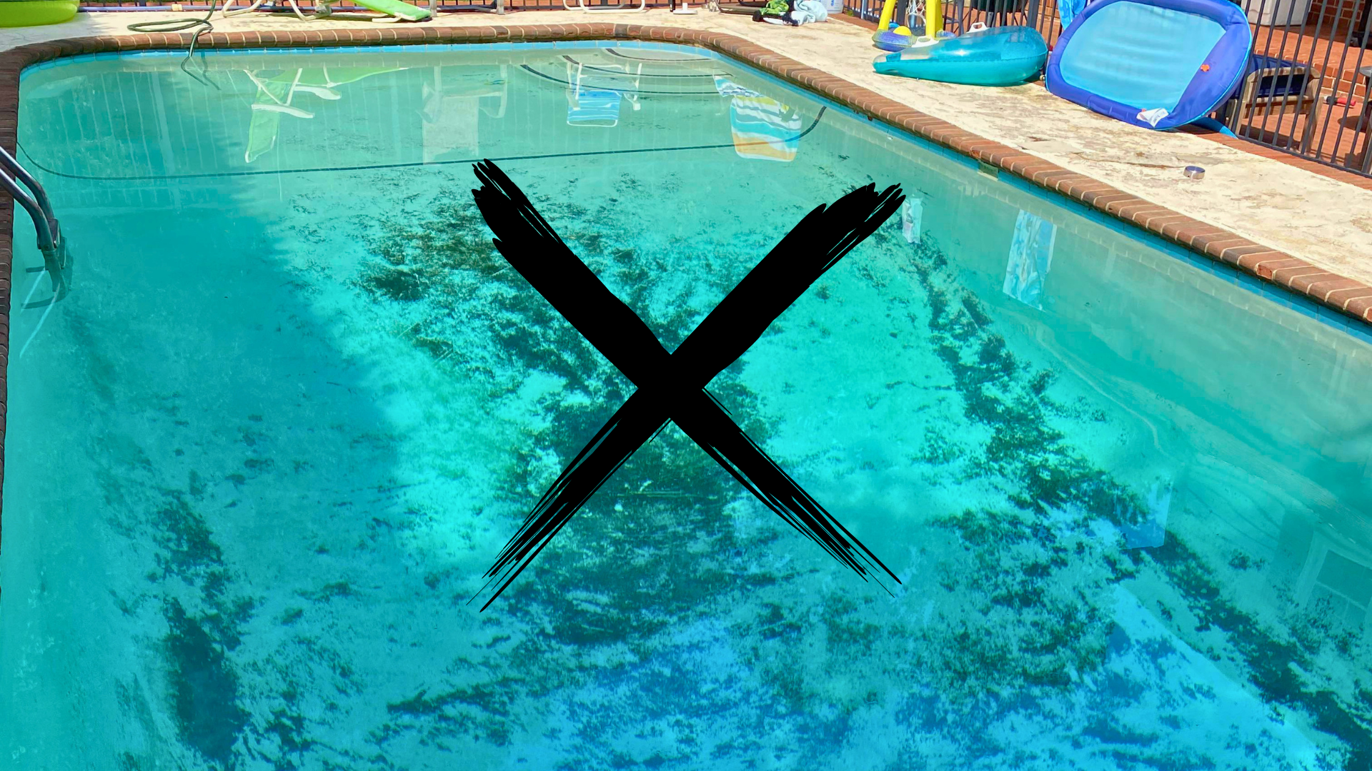 How to Kill Black Algae in Your Pool