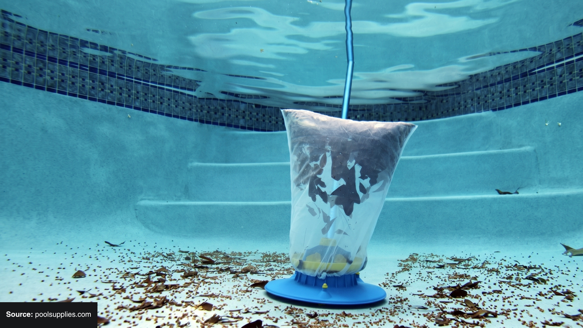 Do Pool Leaf Vacuums Work and Are They Worth It?