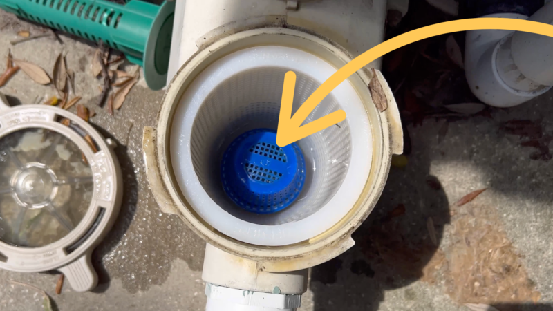 Poolrx Review For Eliminating Algae 2 Pool rx in pump basket