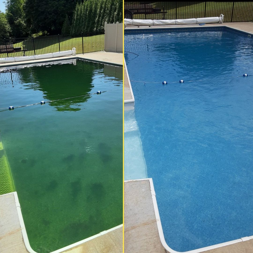 Before and After Photo of a Green Pool Turned Crystal Clear
