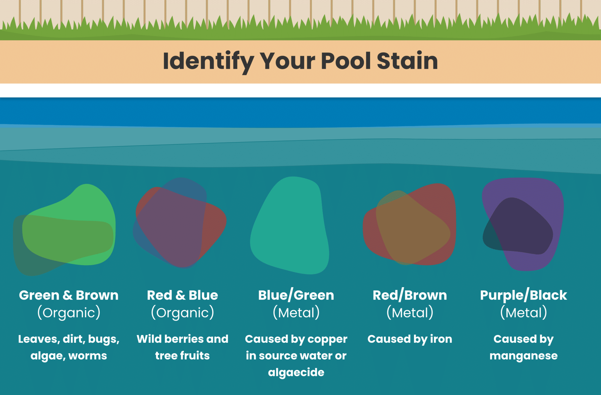 How to Identify and Remove Pool Stains The Pool Life