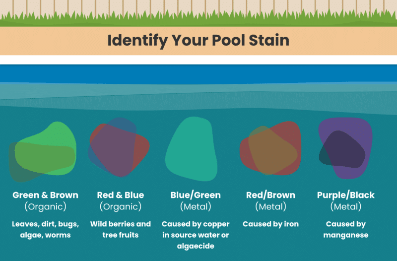 Identify Your Pool Stains