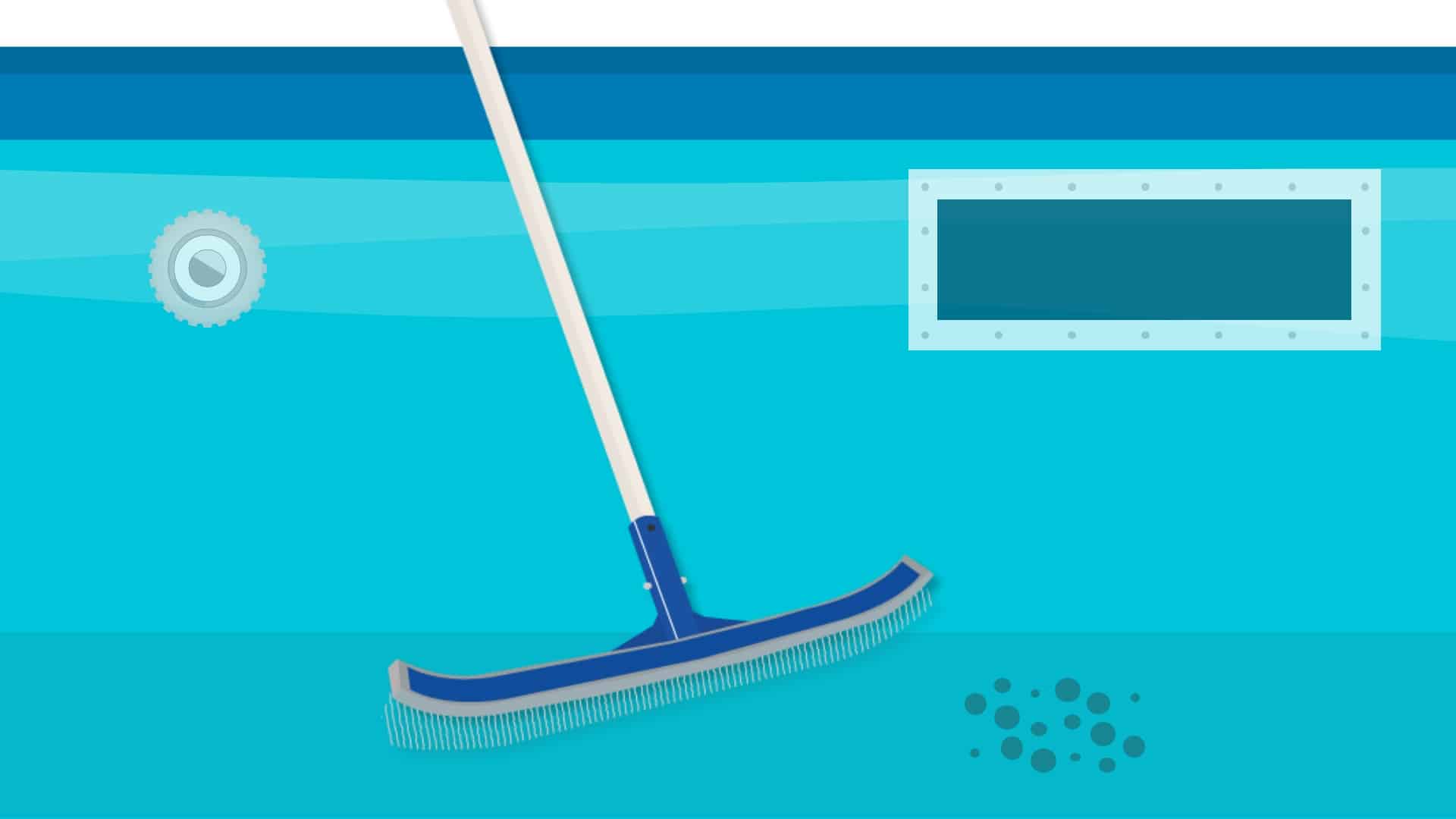 The Best Pool Brush for Removing Hidden Algae
