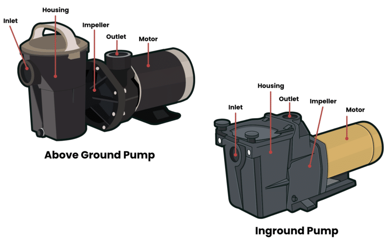 Pool Pump Anatomy