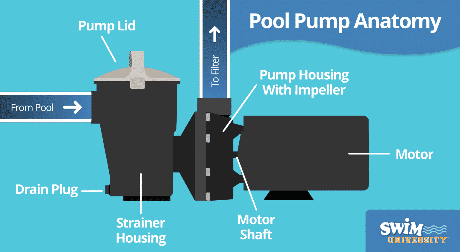 7-troubleshooting-tips-for-your-pool-pump-not-working