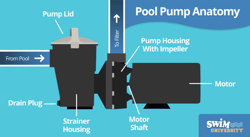 https://www.swimuniversity.com/wp-content/uploads/Pool-Pump-Anatomy-800x439.png