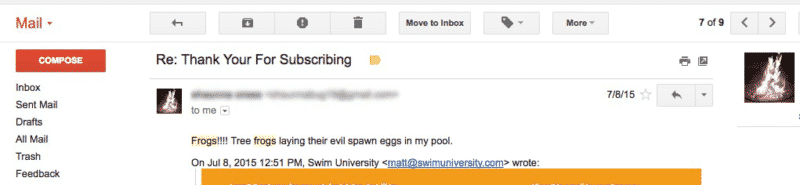 Frogs in the pool email