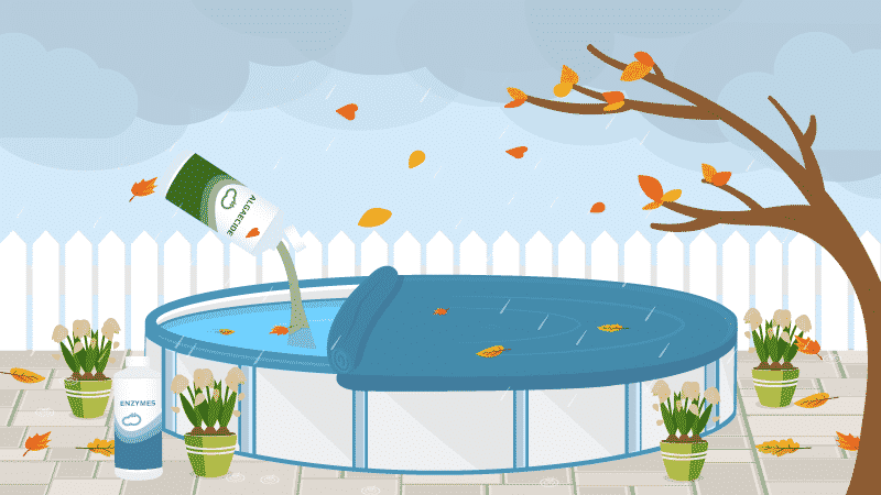 11 Off Season Pool Care Tips