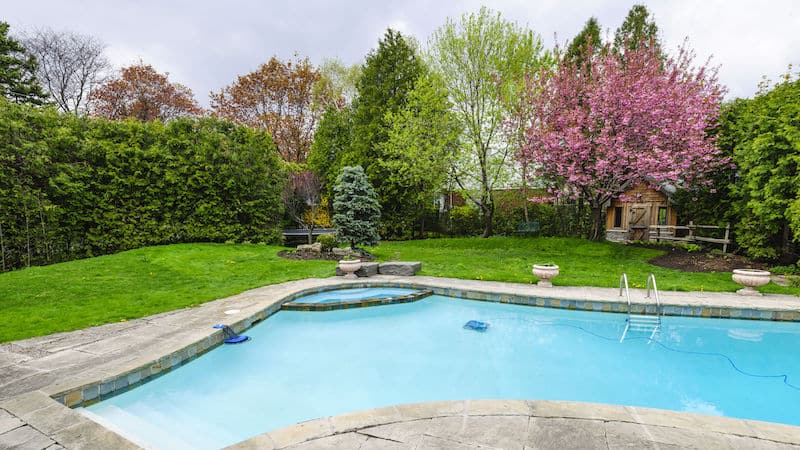 Pool Landscaping Hedges