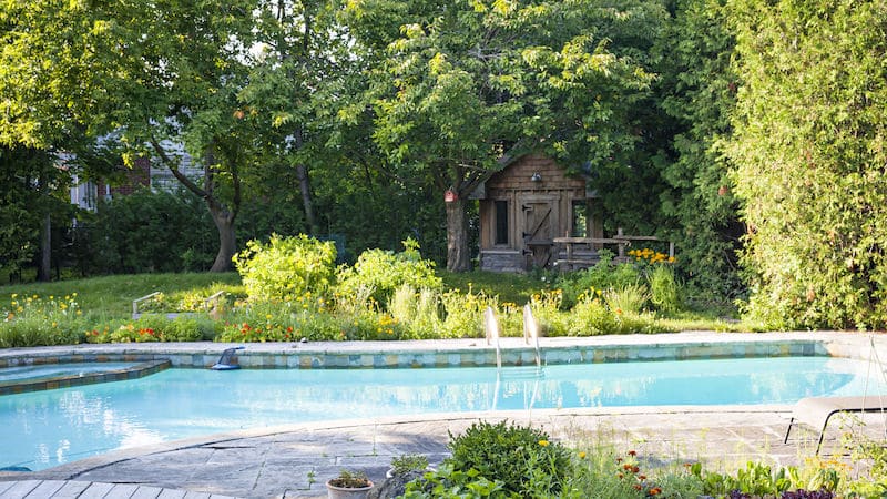 Pool Landscaping Trees